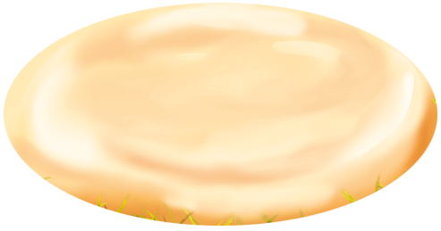 Звичайний камінчик